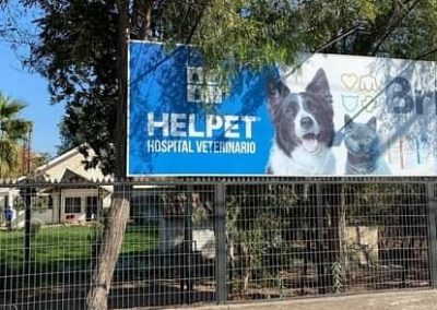 hospital veterinario 24 horas chicureo colina