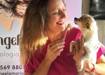 odontologia veterinaria chicureo