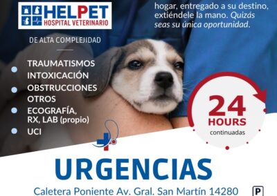 clinica veterinaria 24 horas chicureo