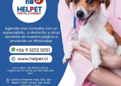 clinica veterinaria chicureo