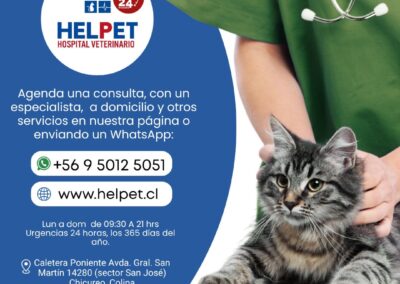clinicas veterinarias en chicureo