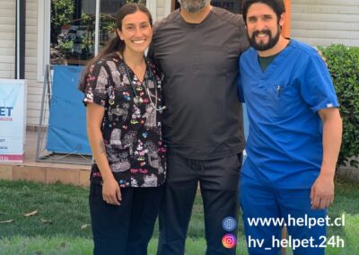 mejor medico veterinario en colina