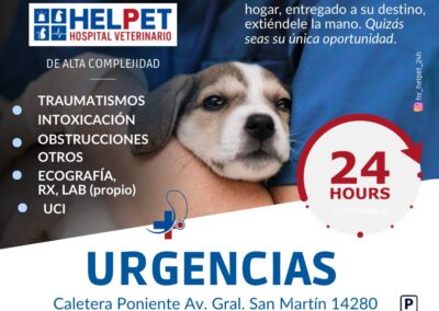 veterinaria helpet